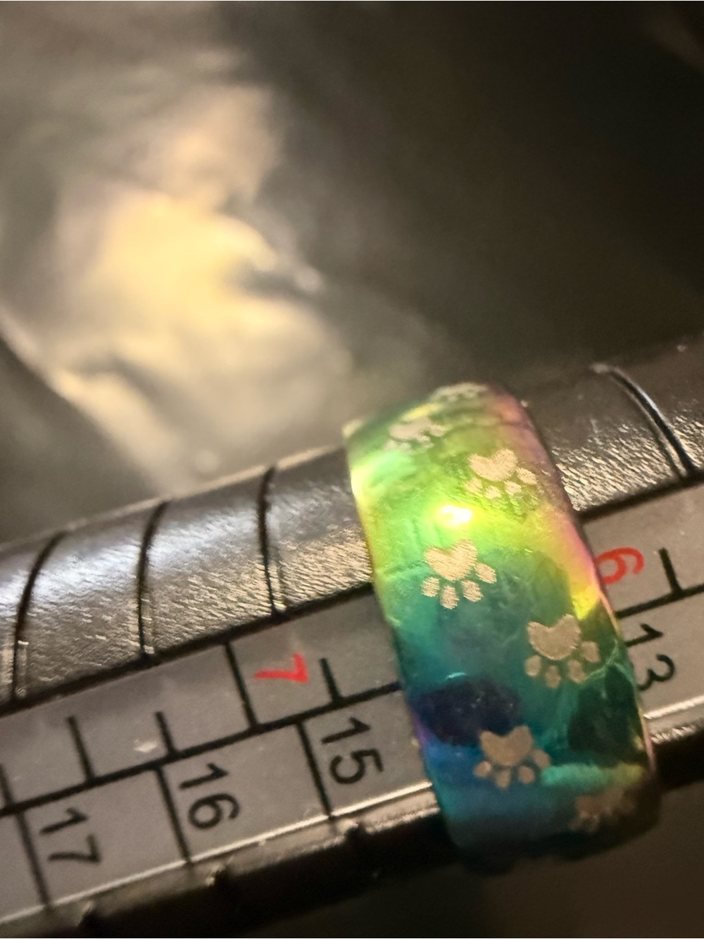 Small Pets Rainbow Paw-Print Comfort Ring